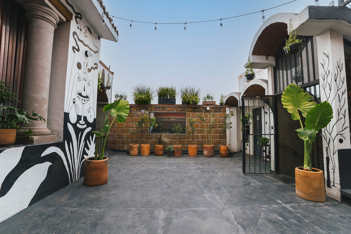 Rooftop Rental (Basic)