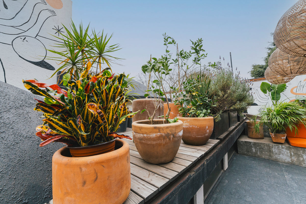 Rooftop Rental (Basic)