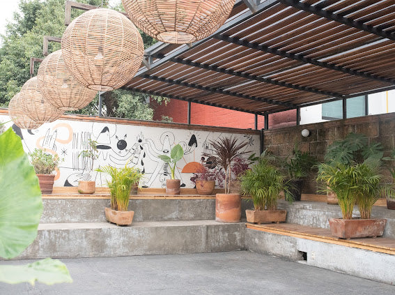 Rooftop Rental (Basic)