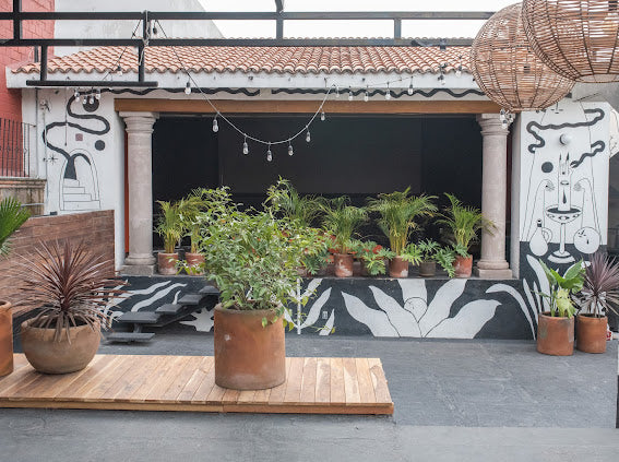 Rooftop Rental (Basic)