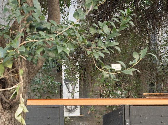 Courtyard Rental